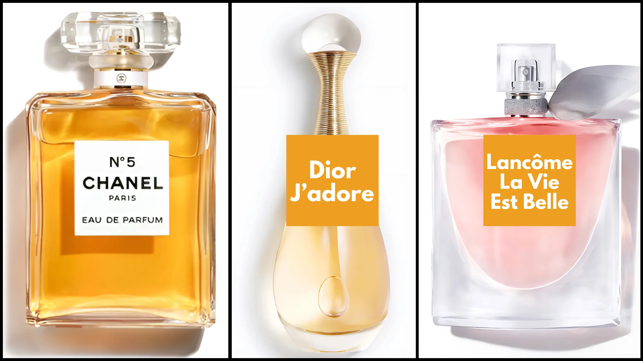 Best Perfumes for Women