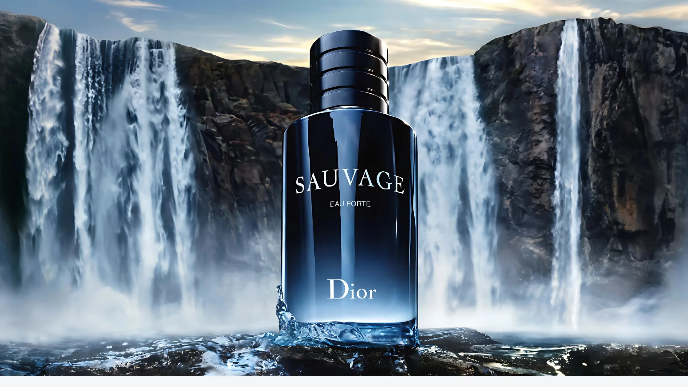 Dior Sauvage