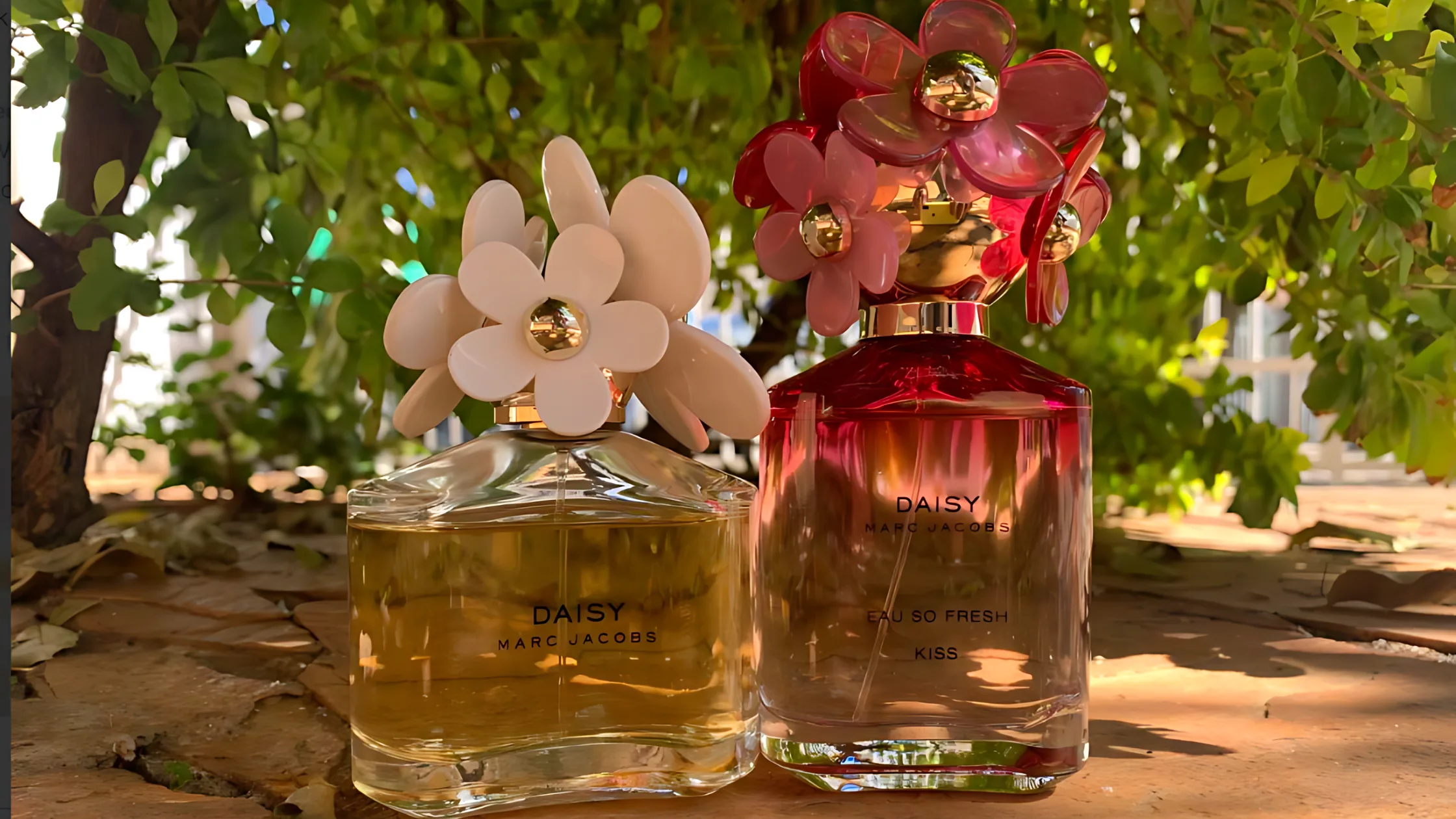 Comparative Fragrances