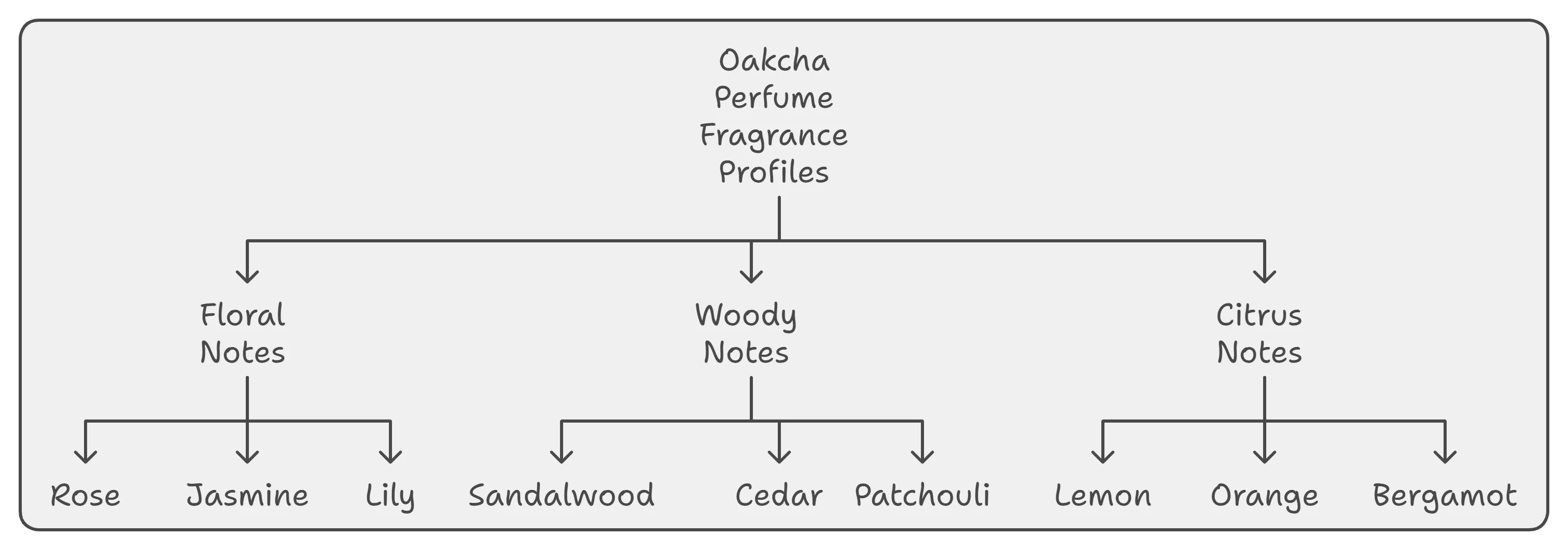 Oakcha Perfume Fragrance Profiles