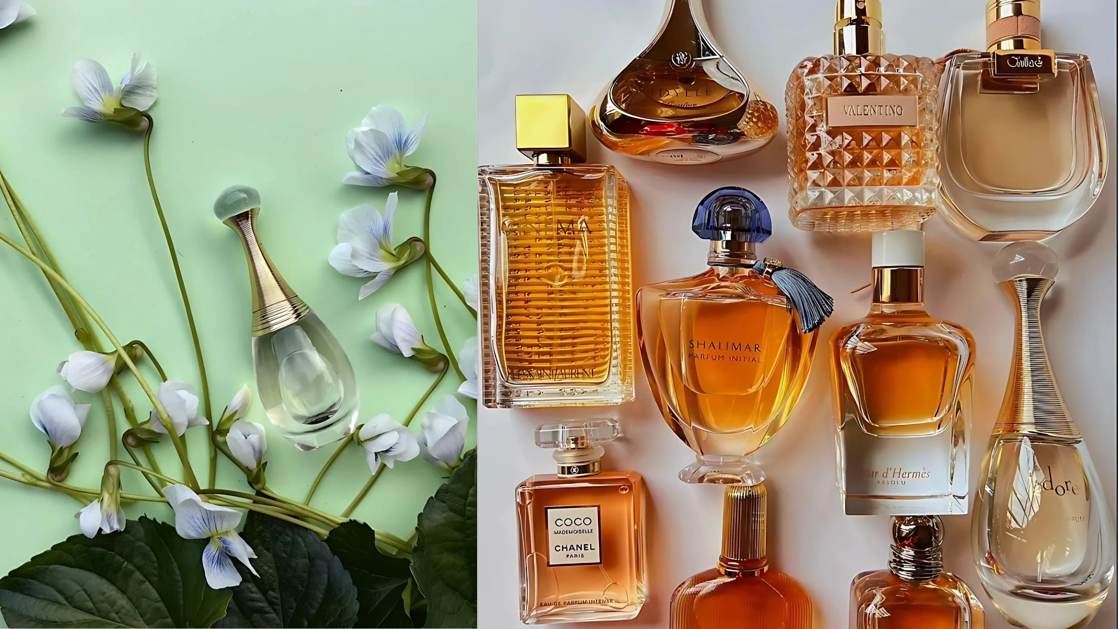 Dior J'adore