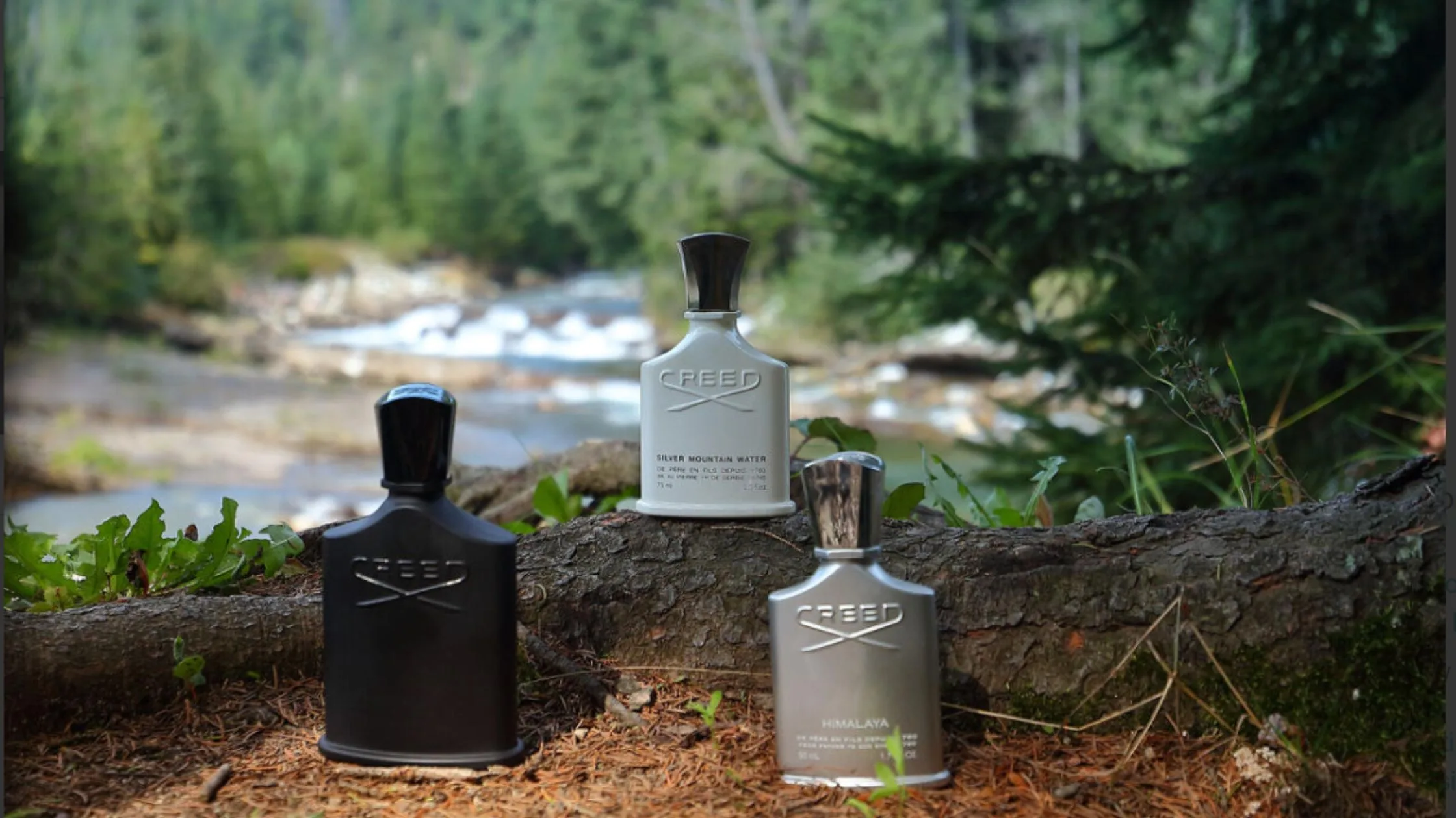 12 Luxury Perfume Brands: Indulge in Elegance and Opulence