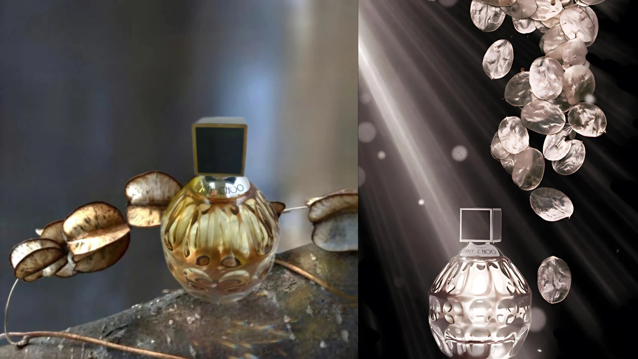 The Essence Of Jimmy Choo For Women