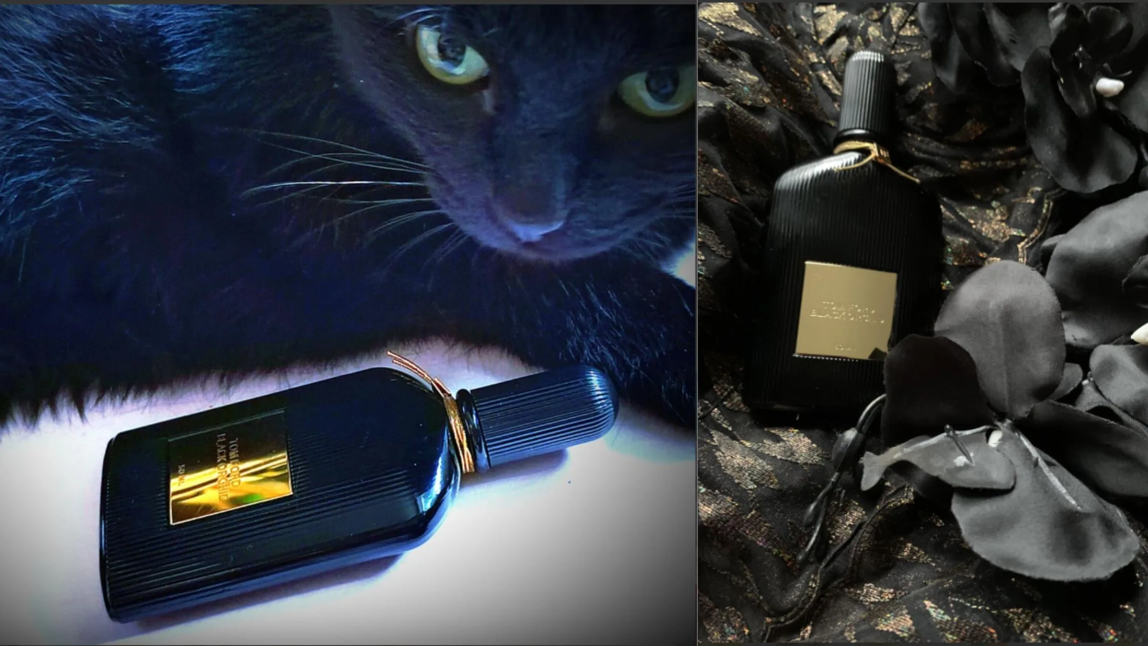 Tom Ford Private